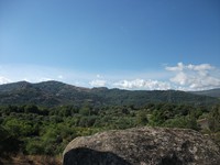 gale-20120725 039